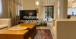 Modern Duplex For Rent in Maadi Degla – Cairo Egypt