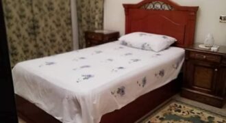 apartment for rent Fully_Furnished in Degle maadi