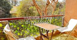 Amazing Apartment For Rent in Maadi Sarayat – Cairo – Egypt