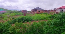 PLOT FOR SALE IN UPPER CHINYONGA