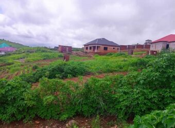 PLOT FOR SALE IN UPPER CHINYONGA