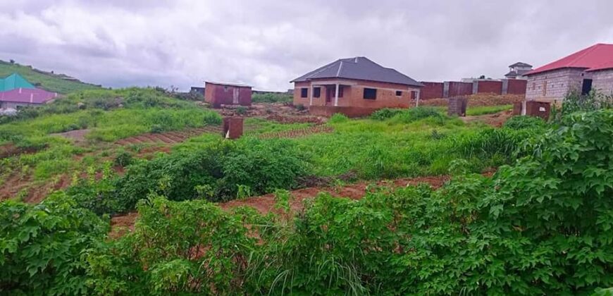 PLOT FOR SALE IN UPPER CHINYONGA