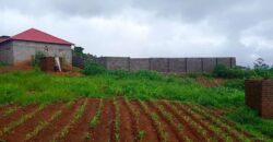 PLOT FOR SALE IN UPPER CHINYONGA