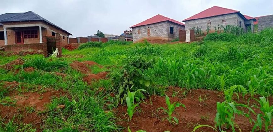 PLOT FOR SALE IN UPPER CHINYONGA