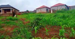 PLOT FOR SALE IN UPPER CHINYONGA