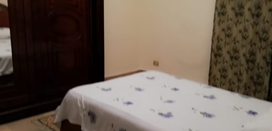 apartment for rent Fully_Furnished in Degle maadi