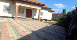 -3 bedrooms, RENT Executive House in Roma near Red Roof