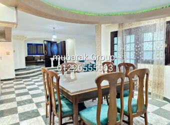 Amazing Apartment For Rent in Maadi Degla – Cairo – Egypt