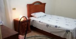 apartment for rent Fully_Furnished in Degle maadi