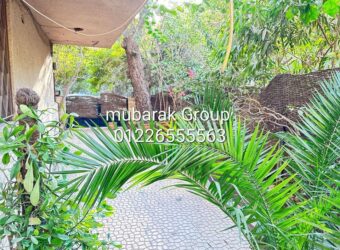 Amazing ground Floor with Private Terrace For Rent in Maadi Sarayat – Cairo