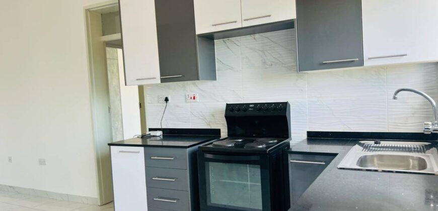 ONE BEDROOM HIGH-END APARTMENT IN VILLAGE GABORONE FOR RENT