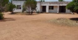 MMOPANE PLOT FOR SALE