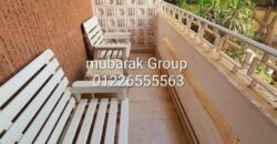 Amazing Apartment For Rent in Old Maadi – Cairo Egypt