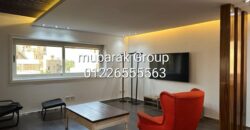 Modern Apartment For Rent in Maadi Degla – Cairo – Egypt