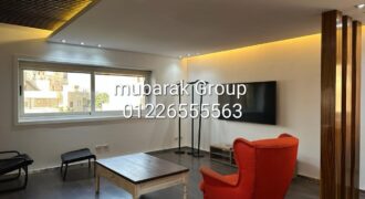 Modern Apartment For Rent in Maadi Degla – Cairo – Egypt