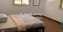 Amazing Apartment For Rent in Old Maadi – Cairo Egypt