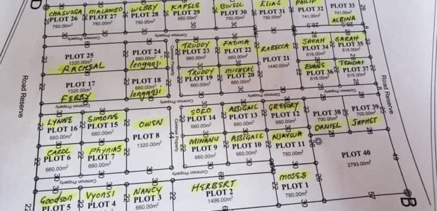 PRIME PLOT FOR SALE in Silverest