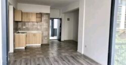 2bedroom APARTMENTS -Kamiti Road/Nairobi