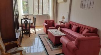 Fully_Furnished 2 bedrooms apartment for Rent in Degle #maadi