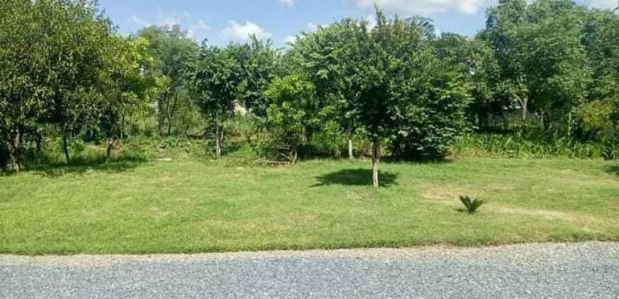 PRIME PLOT FOR SALE IN MEANWOOD IBEX WITH GOOD LOCATION/NEIGHBORHOOD