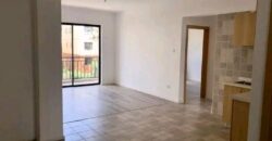 2bedroom APARTMENTS -Kamiti Road/Nairobi