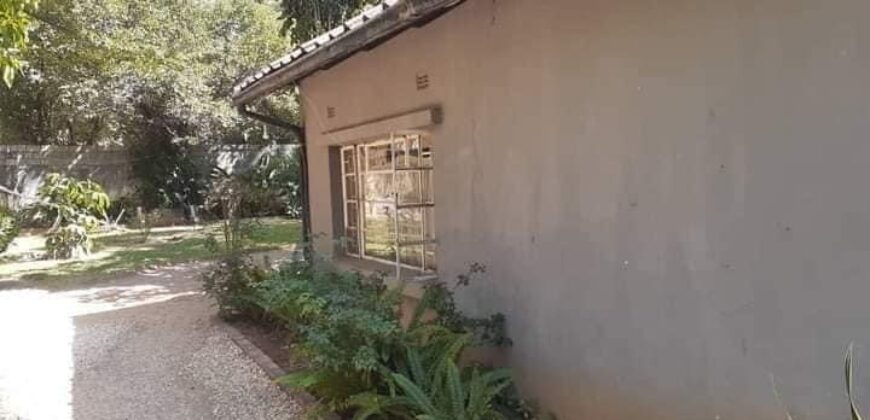 An Investors Opportunity in Omelo Mumba Road Rhodes Park, Lusaka Zambia.