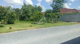 PRIME PLOT FOR SALE IN MEANWOOD IBEX WITH GOOD LOCATION/NEIGHBORHOOD