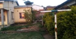 House to let in ndilande newlines 4 bedrooms 2ensuite sitting.