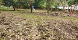 Plot for sale in MALAWI namiwawa magasa