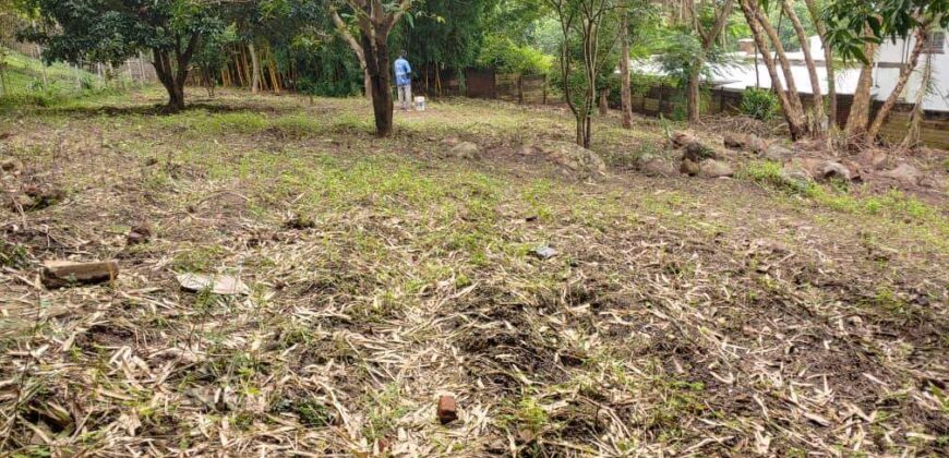 Plot for sale in MALAWI namiwawa magasa