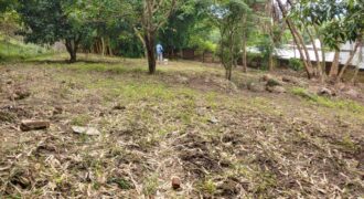 Plot for sale in MALAWI namiwawa magasa