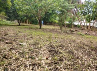 Plot for sale in MALAWI namiwawa magasa