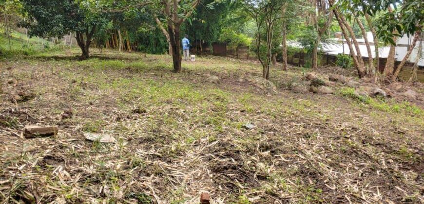 Plot for sale in MALAWI namiwawa magasa