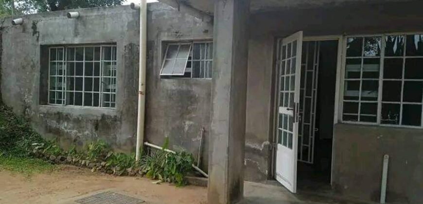 A beautiful 1 Apartment to let in MALAWI Nyambadwe