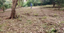 Plot for sale at Malawi -namiwawa magasa