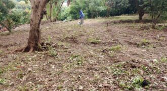 Plot for sale at Malawi -namiwawa magasa