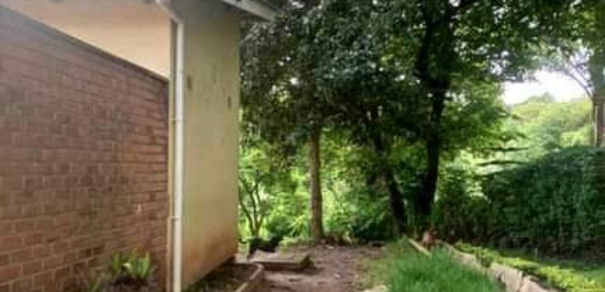 House to let at MALAWI Namiwawa