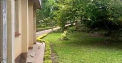 House to let at MALAWI Namiwawa