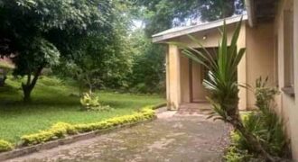 House to let at MALAWI Namiwawa