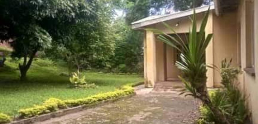 House to let at MALAWI Namiwawa