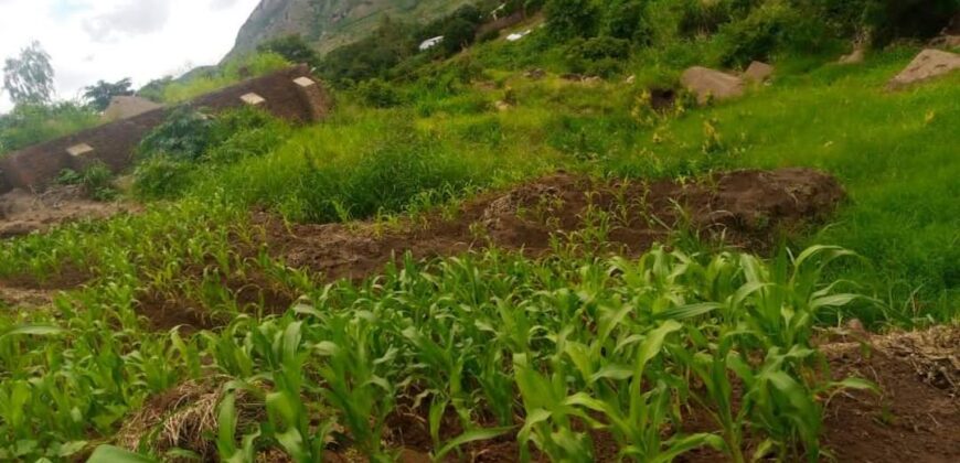 Plot for sale malawi machinjiri area