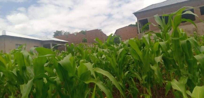 Plot for sale malawi machinjiri area