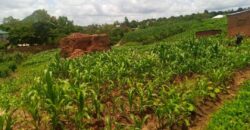 Plot for sale malawi machinjiri area