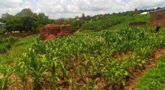 Plot for sale malawi machinjiri area