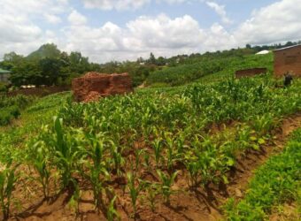 Plot for sale malawi machinjiri area