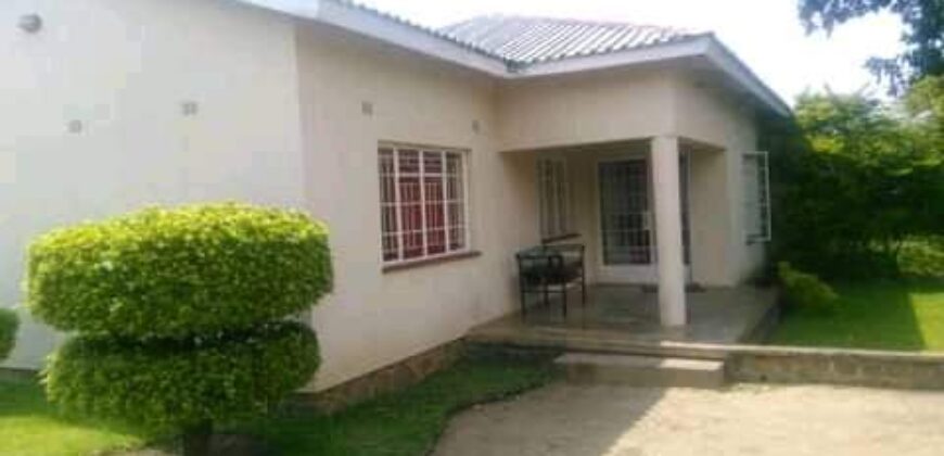 House to let MALAWI kanjedza