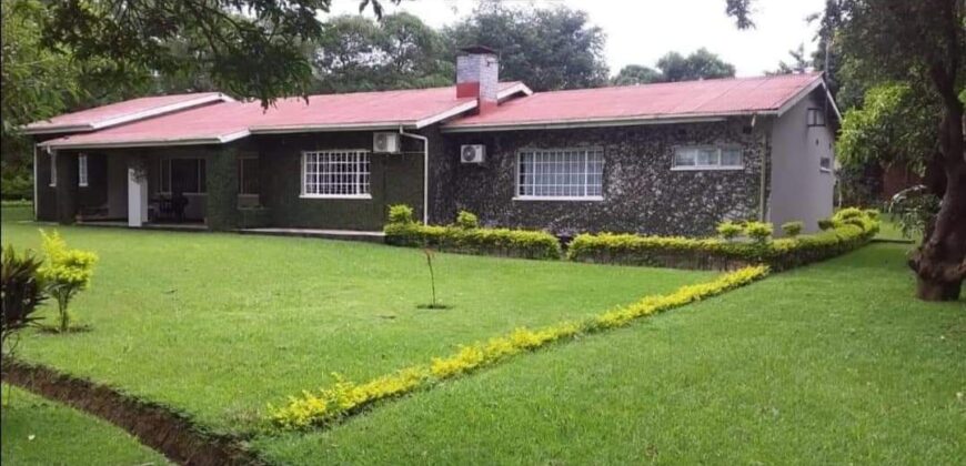 4 BEDROOM HOUSE FOR RENT AT MALAWI -Namiwawa Behind