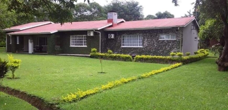 4 BEDROOM HOUSE FOR RENT AT MALAWI -Namiwawa Behind