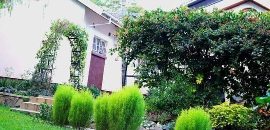 EXECUTIVE HOUSE TO LET IN MALAWI SUNNYSIDE 