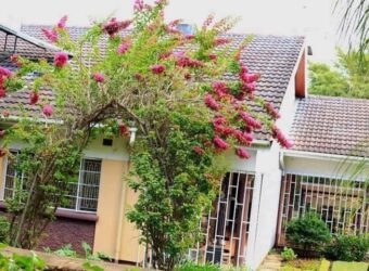 EXECUTIVE HOUSE TO LET IN MALAWI SUNNYSIDE 